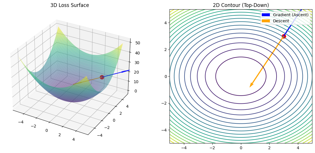3D/2D loss surface with gradient vector at a given parameter point.